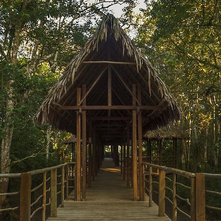 Treehouse Lodge Yucuruche Esterno foto
