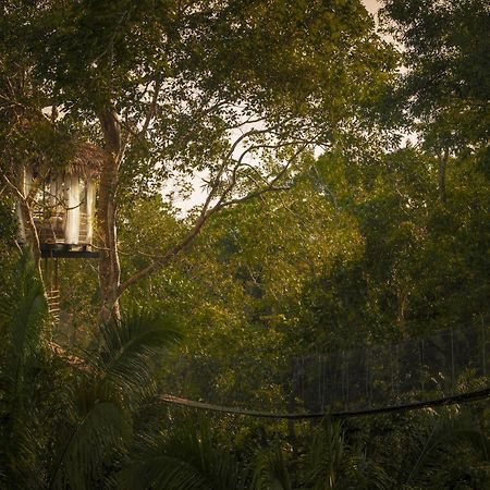 Treehouse Lodge Yucuruche Esterno foto