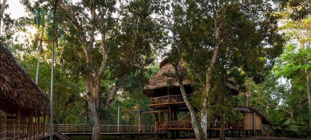 Treehouse Lodge Yucuruche Esterno foto