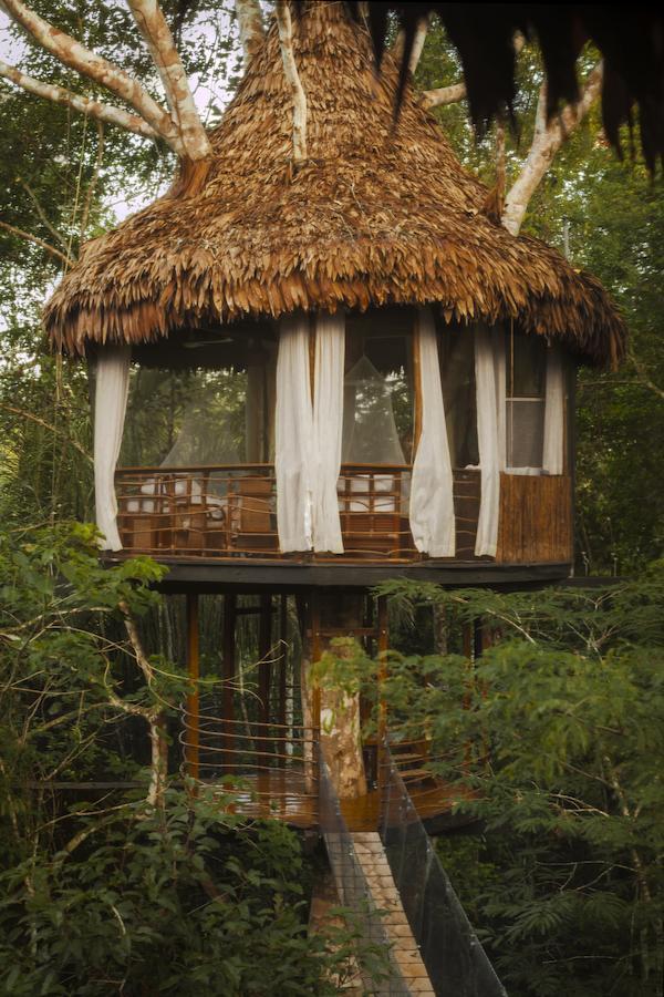 Treehouse Lodge Yucuruche Esterno foto