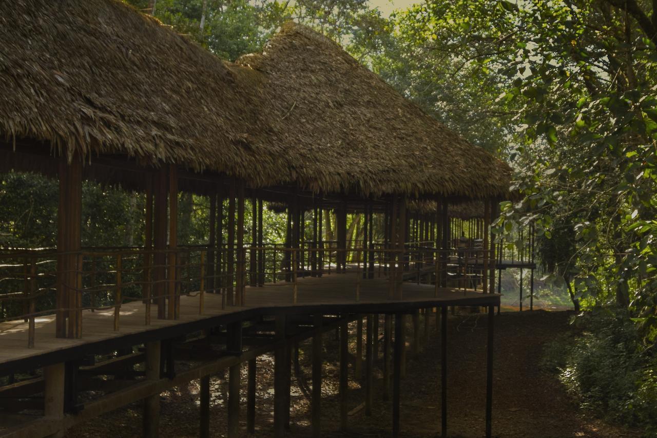 Treehouse Lodge Yucuruche Esterno foto