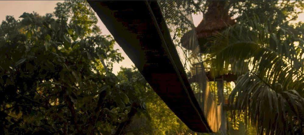 Treehouse Lodge Yucuruche Esterno foto