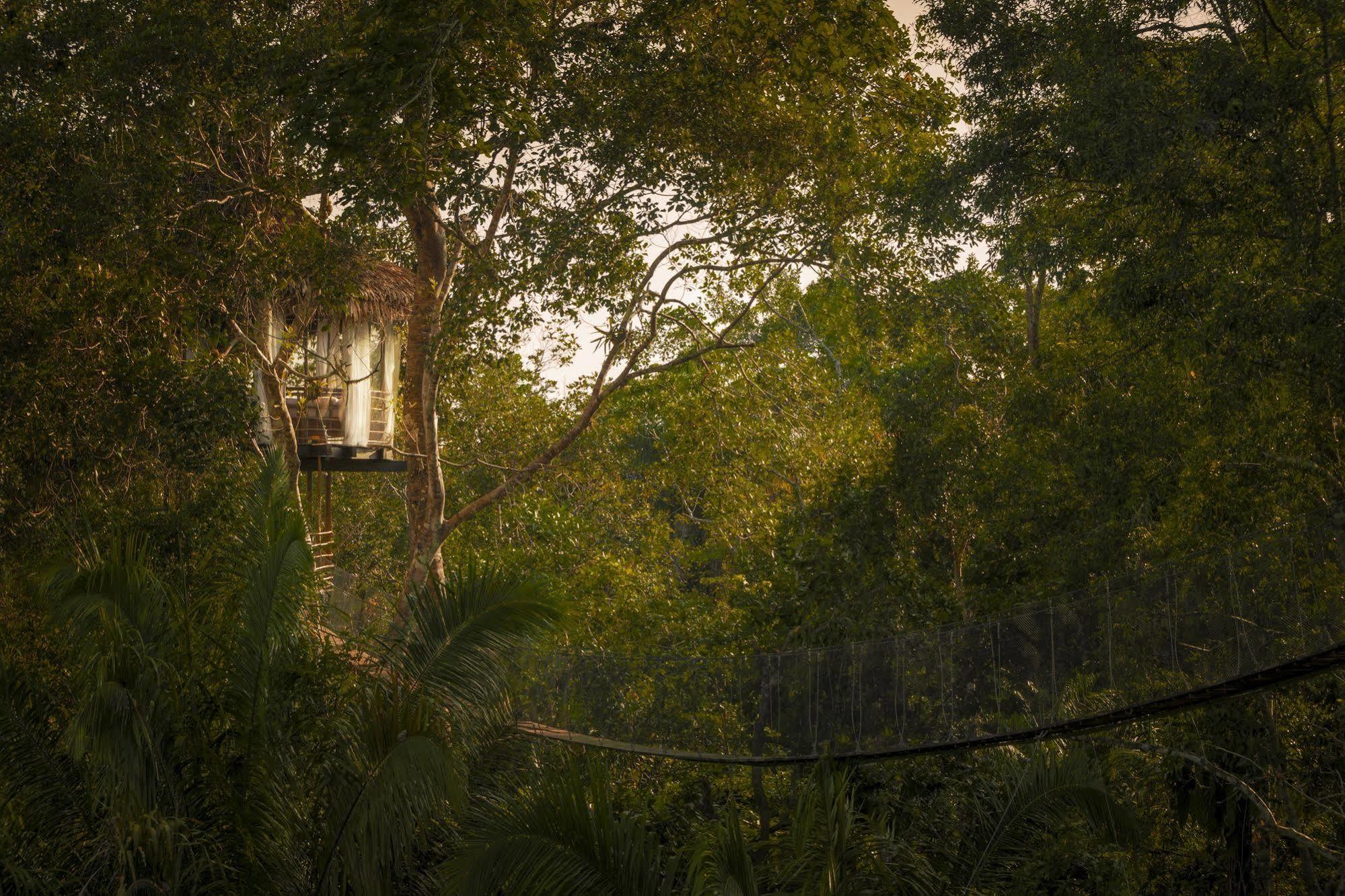Treehouse Lodge Yucuruche Esterno foto